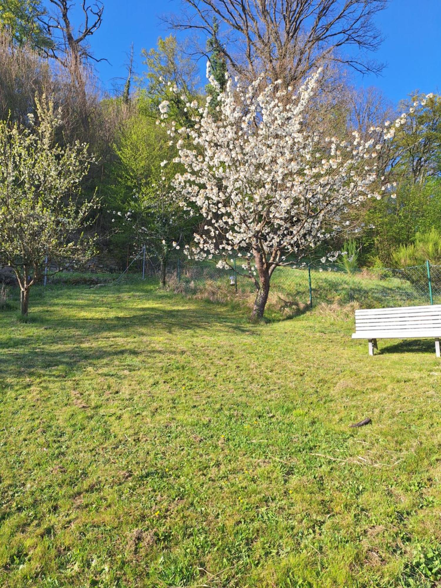 Kleines Domizil Am Suedhang Ortenberg  Cameră foto